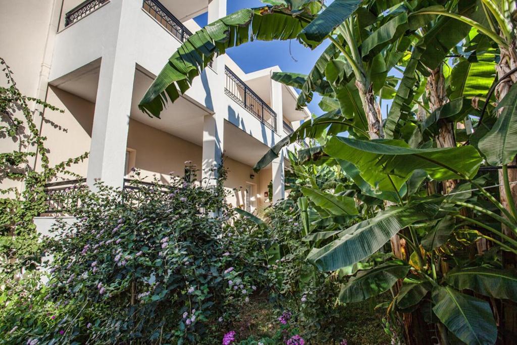 Bali Dorian Apartments Extérieur photo